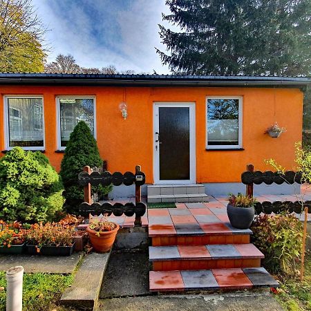 Ferienhaus Petra Elbingerode  Zewnętrze zdjęcie